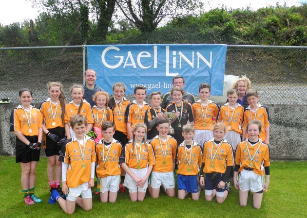 Gaelscoil Mhic Easmainn